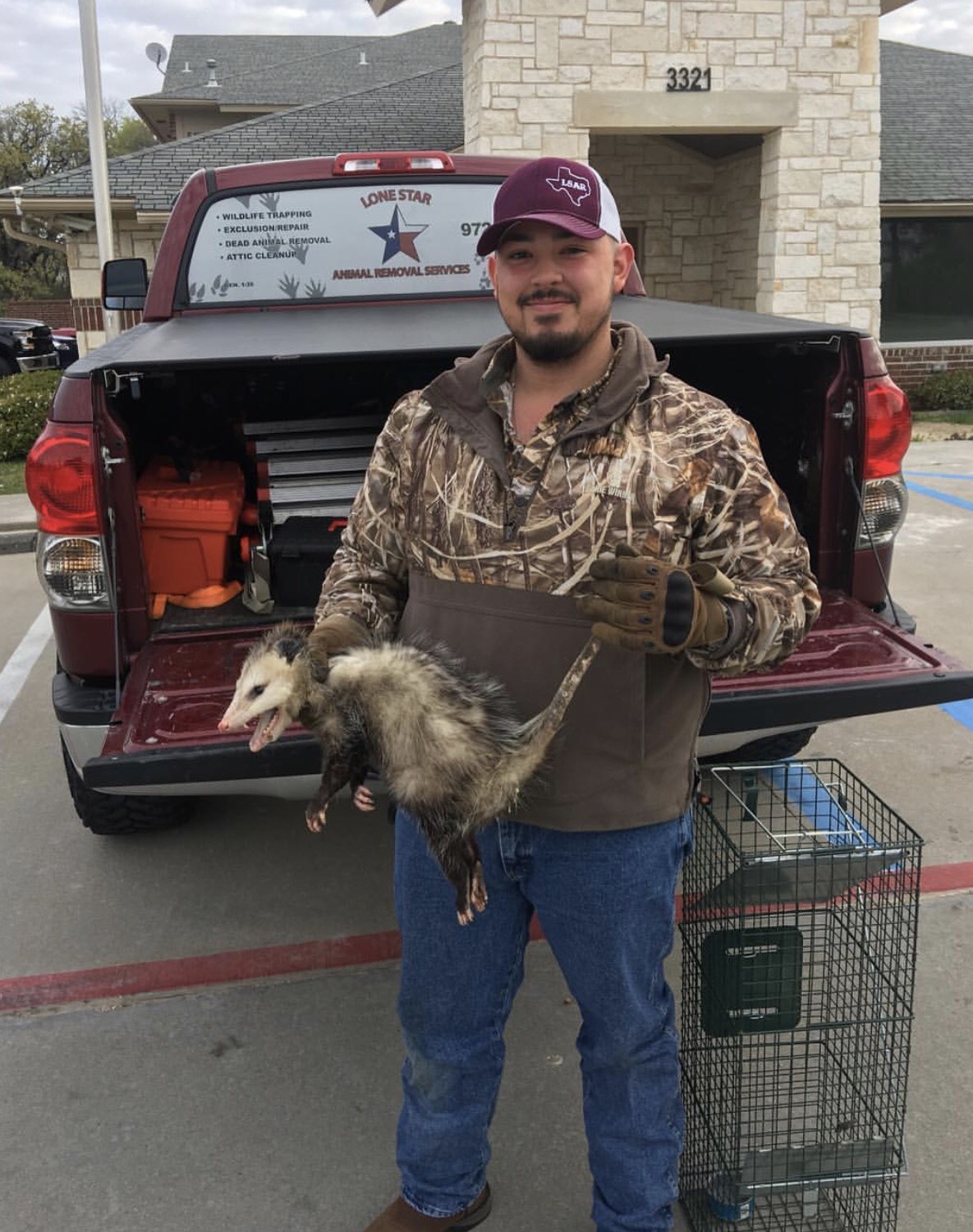Lone Star Animal Removal Services - Captured Opossum